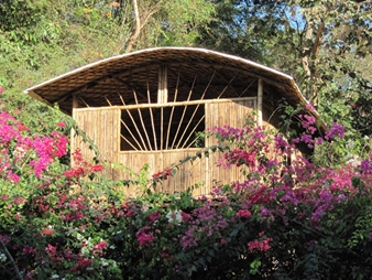 Bamboo housing at Verite, Auroville
