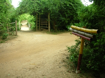 Entrance to the Auroville Bamboo Research Center